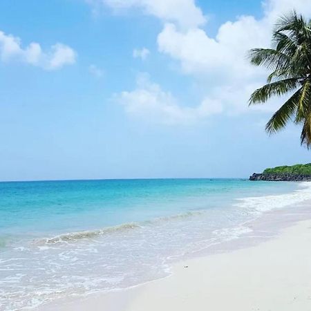 - Les Pieds Dans L'Eau A 50M De La Plage, Cote Mer Caraibe - Domaine De L'Anse Caritan - Sainte-Anne - מראה חיצוני תמונה