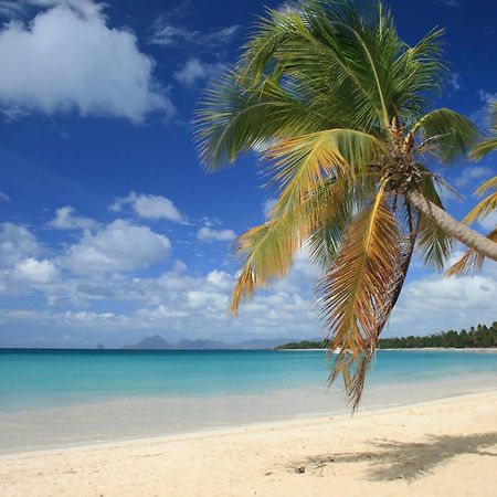 - Les Pieds Dans L'Eau A 50M De La Plage, Cote Mer Caraibe - Domaine De L'Anse Caritan - Sainte-Anne - מראה חיצוני תמונה