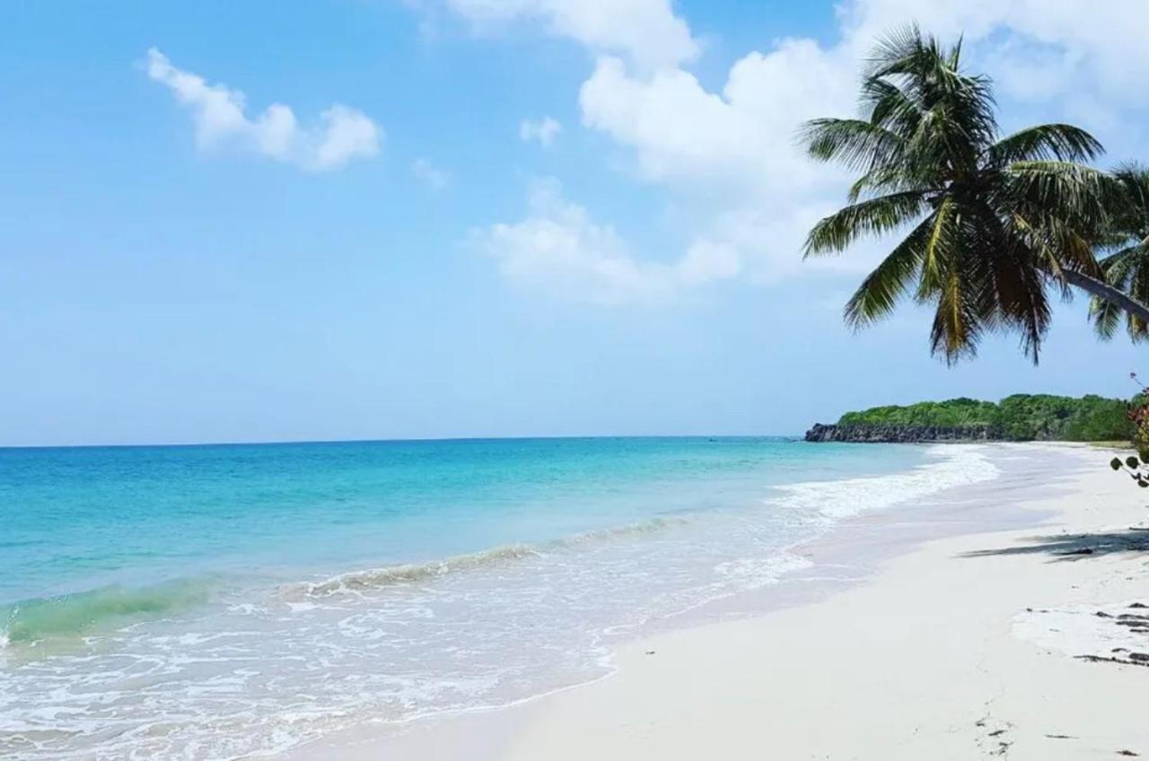 - Les Pieds Dans L'Eau A 50M De La Plage, Cote Mer Caraibe - Domaine De L'Anse Caritan - Sainte-Anne - מראה חיצוני תמונה