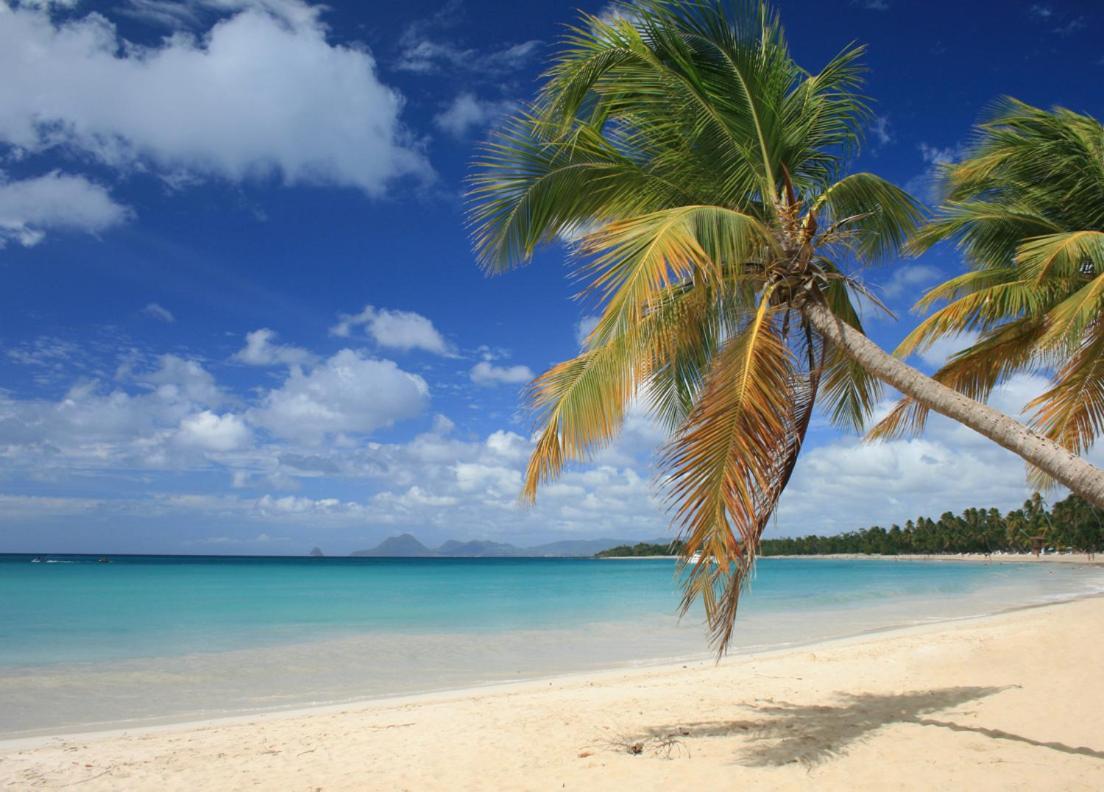 - Les Pieds Dans L'Eau A 50M De La Plage, Cote Mer Caraibe - Domaine De L'Anse Caritan - Sainte-Anne - מראה חיצוני תמונה